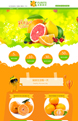 鲜果派对-绿色食品、果蔬行业通用旺铺专业版模板